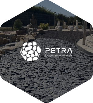 visuel-petra-logo-blanc